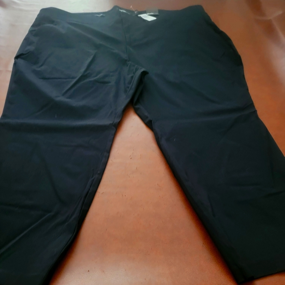 NWT Torrid Pants SZ 30S